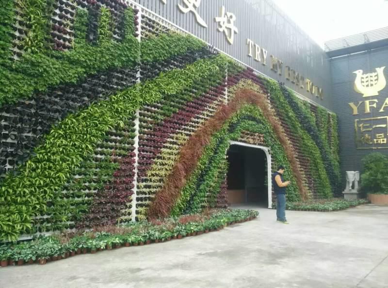 קיר צמחים סינתטיים